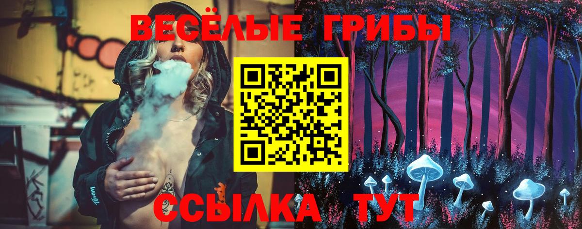 Псилоцибиновые грибы Cubensis  Вход с VPN  Псилоцибиновые грибы мицелий  Артём 